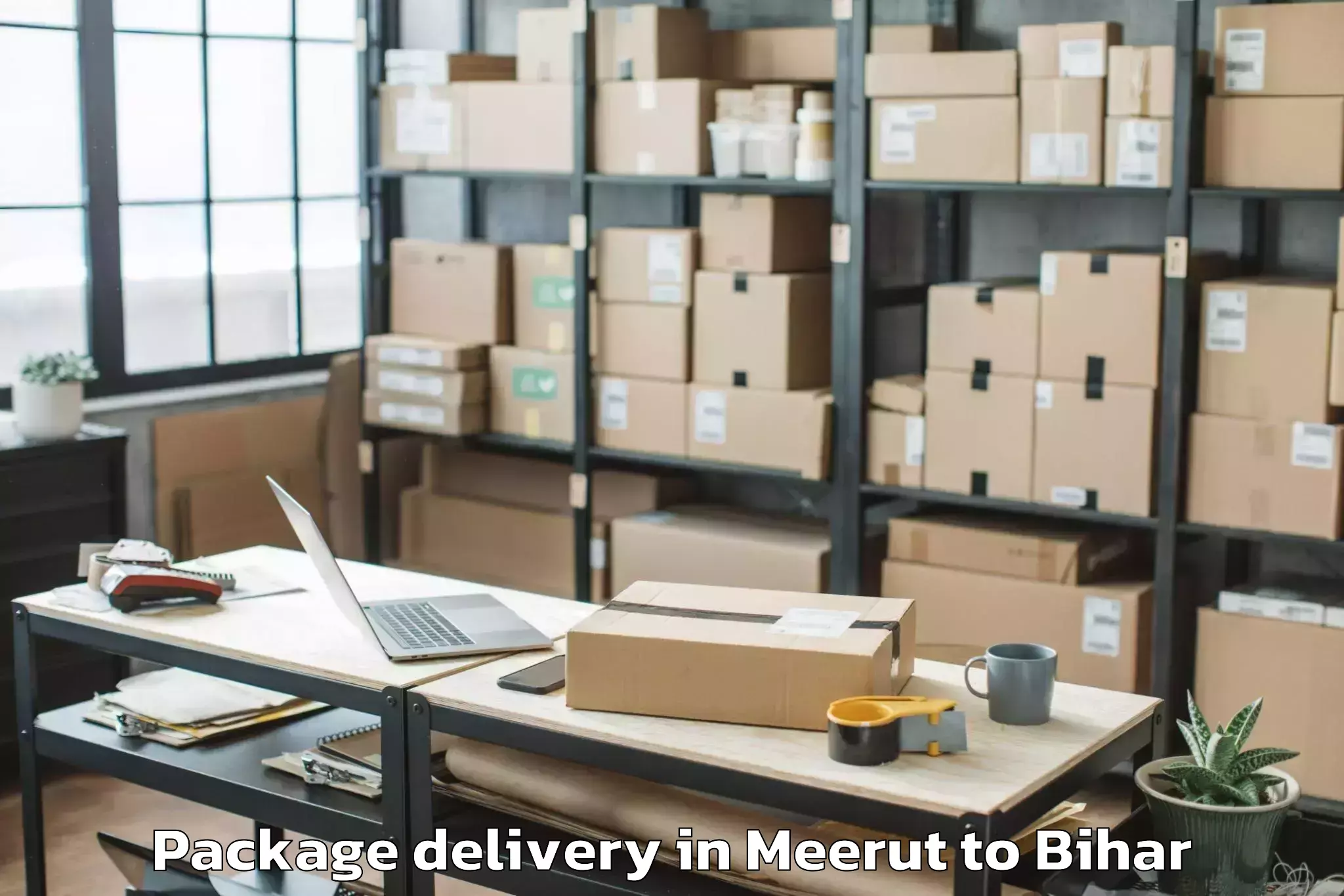 Top Meerut to Meskaur Package Delivery Available